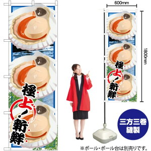 z^e G ̂ڂ SNB-1569 i󒍐YiELZsj