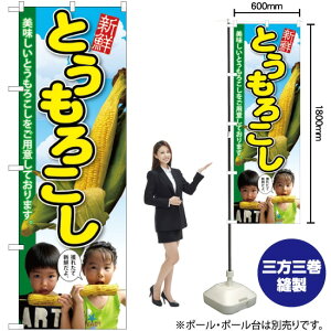 ̂ڂ Ƃ낱 qʐ^ 2l SNB-2199 i󒍐YiELZsj