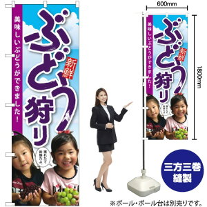 �Ԃǂ���� �q���ʐ^ �̂ڂ� SNB-2202 �i�󒍐��Y�i�E�L�����Z���s�j