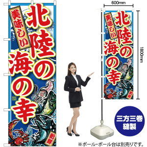 k̊C̍K ̂ڂ SNB-2306 i󒍐YiELZsj