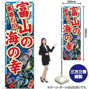 xR̊C̍K ̂ڂ SNB-2307 i󒍐YiELZsj