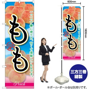  J ̂ڂ SNB-2401 i󒍐YiELZsj