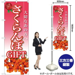  GIFT ̂ڂ SNB-2408 i󒍐YiELZsj