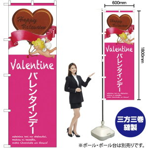 o^Cf[ in[gj ̂ڂ SNB-2812 i󒍐YiELZsj