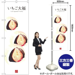 啟 inj ̂ڂ SNB-3006 i󒍐YiELZsj