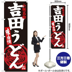 gcǂ R n ̂ڂ SNB-3765 i󒍐YiELZsj