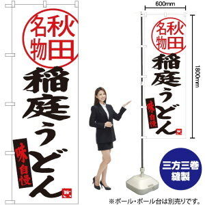 낤ǂ Hc ̂ڂ SNB-3873 i󒍐YiELZsj