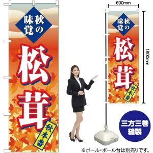  H{ ̂ڂ SNB-4264 i󒍐YiELZsj