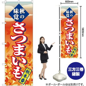 ܂ H{ ̂ڂ SNB-4268 i󒍐YiELZsj