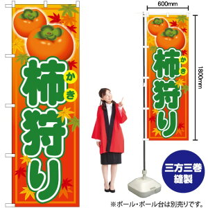 ` ̂ڂ SNB-4497 i󒍐YiELZsj