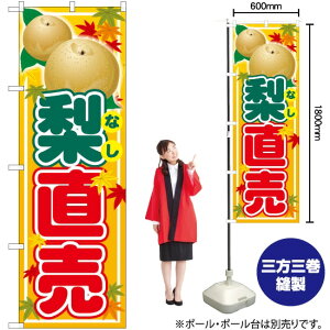  ̂ڂ SNB-4507 i󒍐YiELZsj