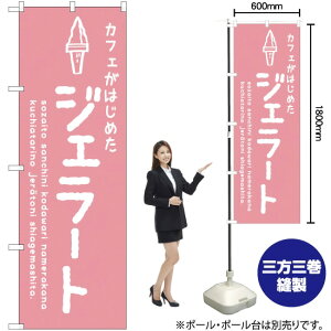 WF[g isNj JtF ̂ڂ SNB-4874 i󒍐YiELZsj