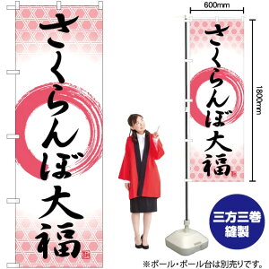 ڑ啟 M ̂ڂ SNB-5245 i󒍐YiELZsj