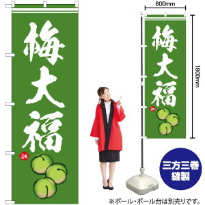 ~啟 CXg ̂ڂ SNB-5256 i󒍐YiELZsj