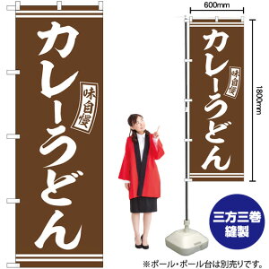 ̂ڂ SNB-5894 J[ǂ ij  i󒍐YiELZsj