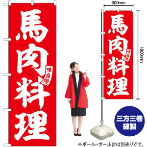 ̂ڂ SNB-6207 n iԁj  i󒍐YiELZsj