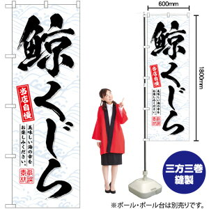 ~ ̂ڂ SNB-6406 i󒍐YiELZsj