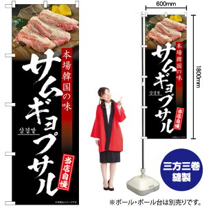 TMvT {؍̖ n ̂ڂ SNB-6437 i󒍐YiELZsj