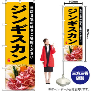 WMXJ2 ̂ڂ SNB-6917 i󒍐YiELZsj