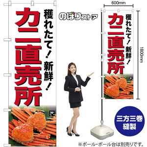 Jj ̂ڂ SNB-7017 i󒍐YiELZsj