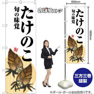 ̂ {̖o n ̂ڂ SNB-7041 i󒍐YiELZsj