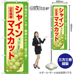 VC}XJbg R`Y ̂ڂ SNB-7191 i󒍐YiELZsj