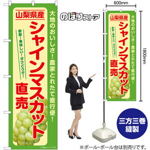 VC}XJbg R`Y ̂ڂ SNB-7196 i󒍐YiELZsj