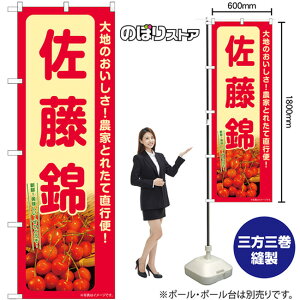  ̂ڂ SNB-7217 i󒍐YiELZsj