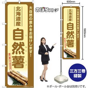 R kCY ̂ڂ SNB-7284 i󒍐YiELZsj