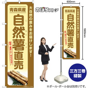 R XY ̂ڂ SNB-7294 i󒍐YiELZsj