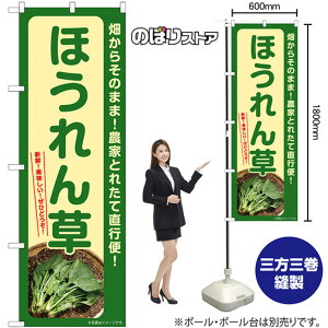 ق ̂ڂ SNB-7309 i󒍐YiELZsj