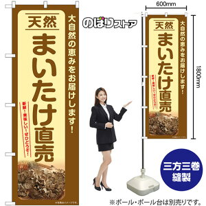 VR܂ ̂ڂ SNB-7334 i󒍐YiELZsj