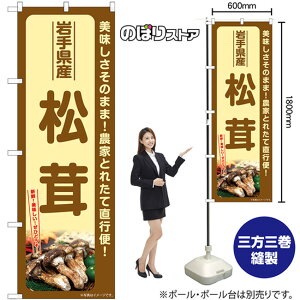  茧Y ̂ڂ SNB-7348 i󒍐YiELZsj