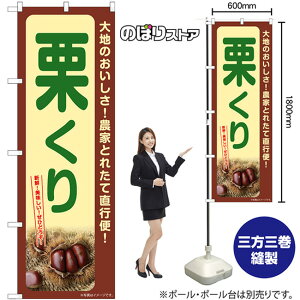 I  ̂ڂ SNB-7367 i󒍐YiELZsj