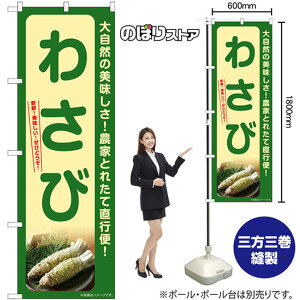 킳 ̂ڂ SNB-7377 i󒍐YiELZsj