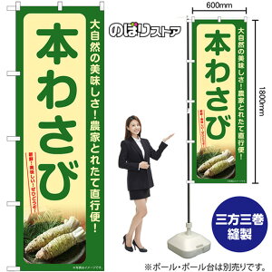 {킳 ̂ڂ SNB-7382 i󒍐YiELZsj