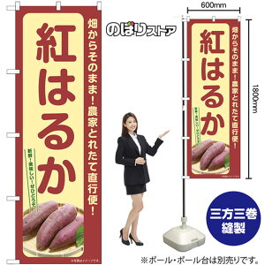 g͂邩 ̂ڂ SNB-7406 i󒍐YiELZsj