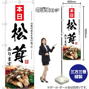 ܂ { ̂ڂ SNB-7437 i󒍐YiELZsj