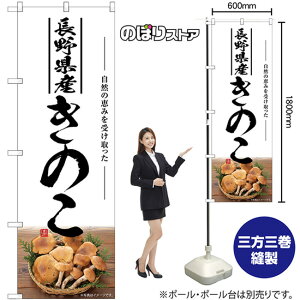 ̂ 쌧Y ̂ڂ SNB-7493 i󒍐YiELZsj