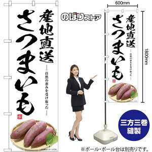 ܂ Yn ̂ڂ SNB-7543 i󒍐YiELZsj