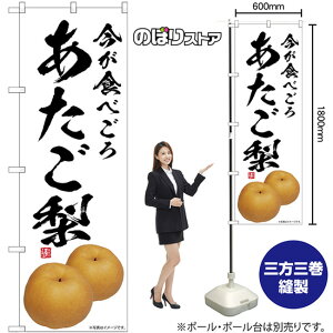  Hׂ ̂ڂ SNB-7563 i󒍐YiELZsj