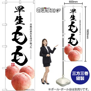  ̂ڂ SNB-7584 i󒍐YiELZsj