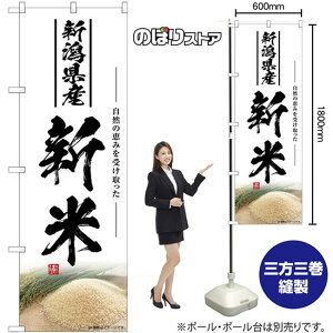 V VY ̂ڂ SNB-7604 i󒍐YiELZsj