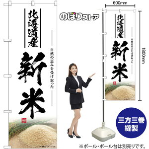 V kCY ̂ڂ SNB-7605 i󒍐YiELZsj