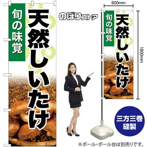 VR ̂ڂ SNB-7609 i󒍐YiELZsj