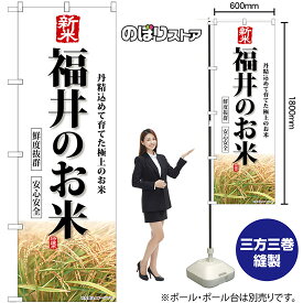 【3枚まで送料297円】 新米 福井のお米 のぼり SNB-8436 （受注生産品・キャンセル不可）