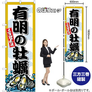 L̉y ̂ڂ SNB-8673 i󒍐YiELZsj