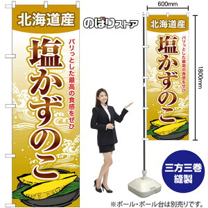 ̂ kCY ̂ڂ SNB-8702 i󒍐YiELZsj
