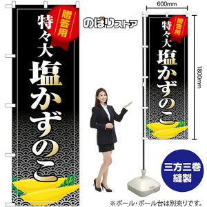 ̂ X ̂ڂ SNB-8704 i󒍐YiELZsj