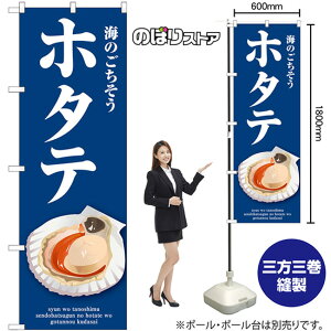 z^e ij ̂ڂ SNB-9057 i󒍐YiELZsj